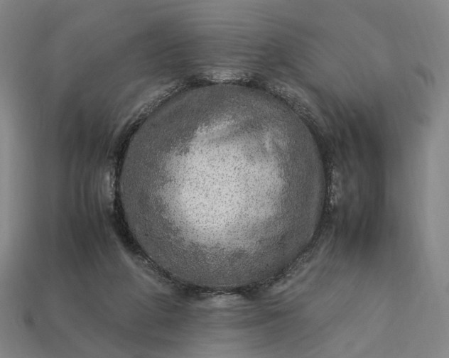 X0000112950210200909071122