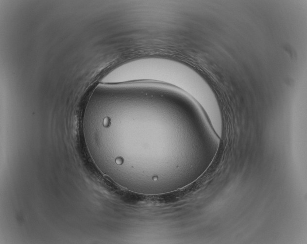 X0000112950211200909071122