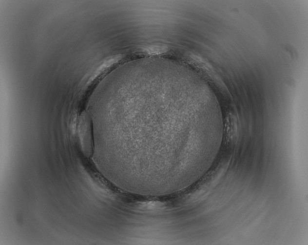 X0000112950212200909071122