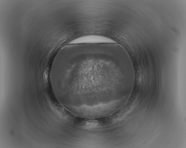 X0000112950214200909071122