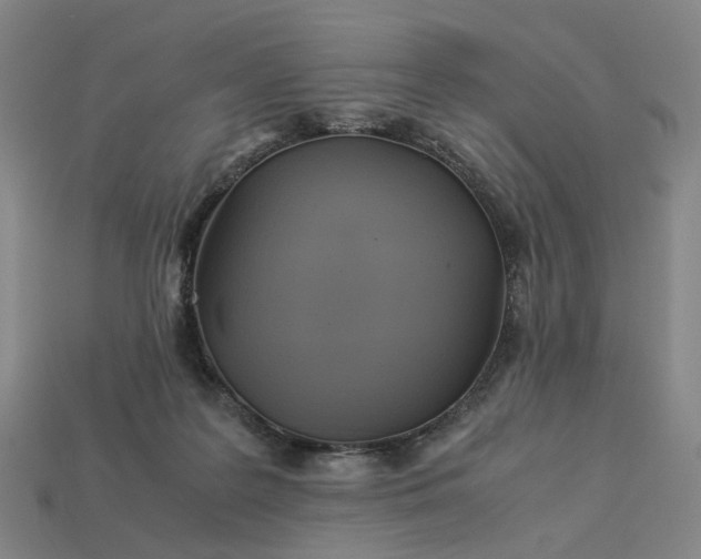 X0000112950219200909071122