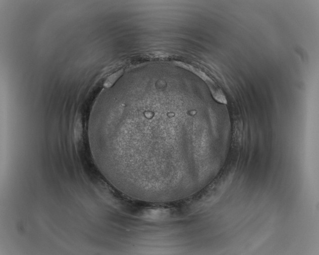 X0000112950220200909071122