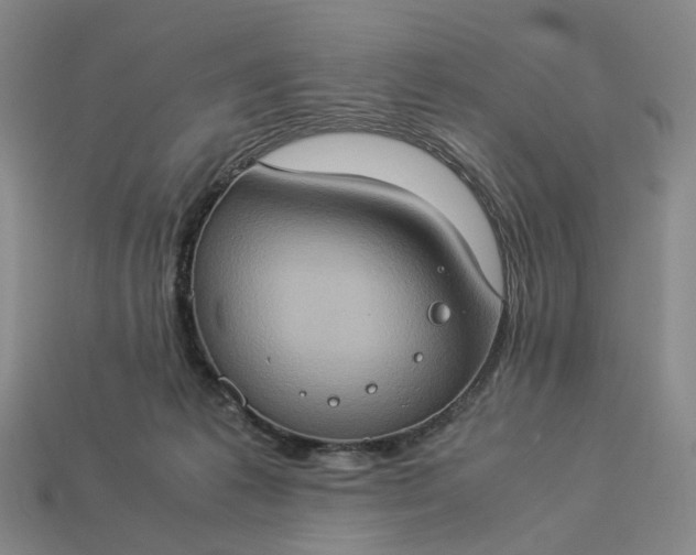 X0000112950221200909071122