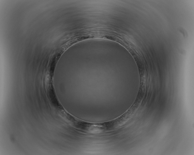 X0000112950222200909071122