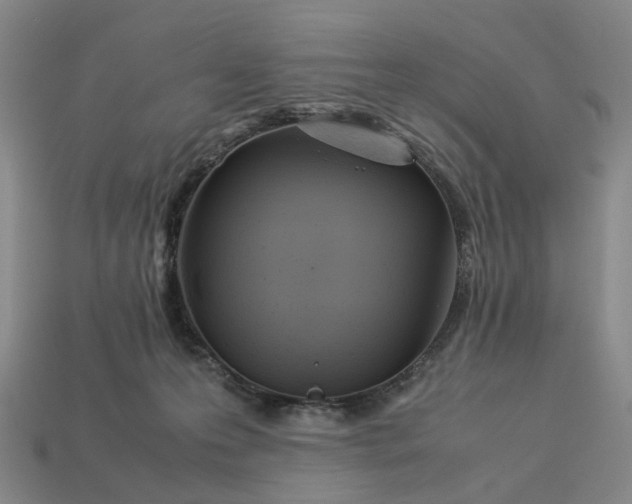 X0000112950223200909071122