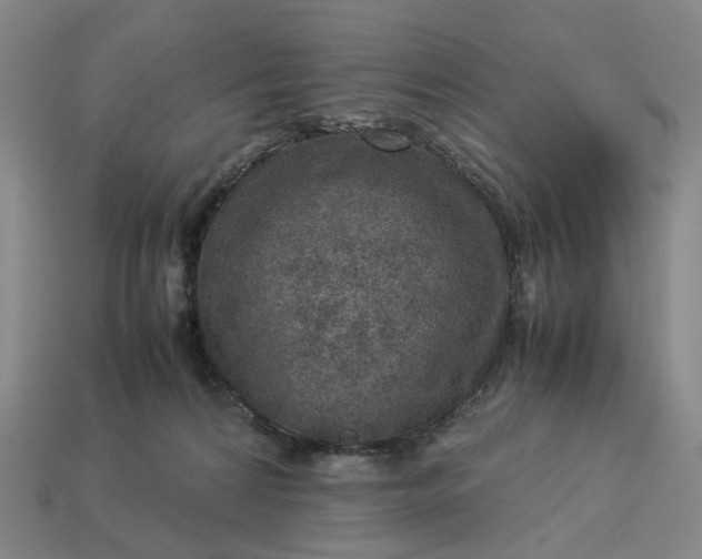 X0000112950224200909071122