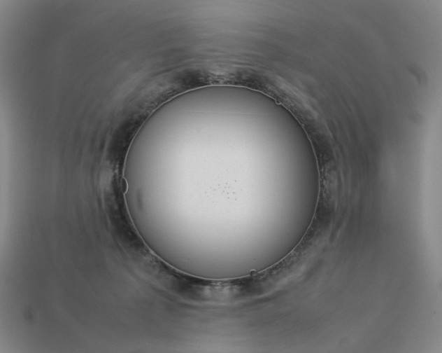 X0000112950225200909071122