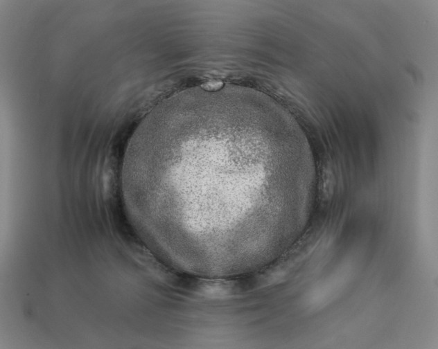 X0000112950226200909071122