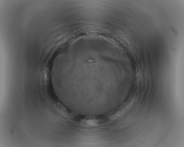 X0000112950228200909071122