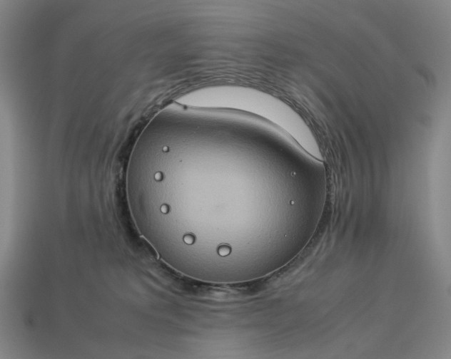 X0000112950229200909071122