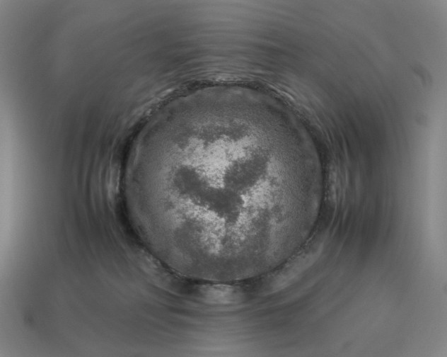 X0000112950230200909071122