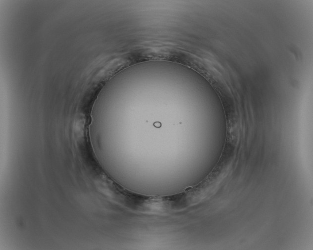 X0000112950231200909071122