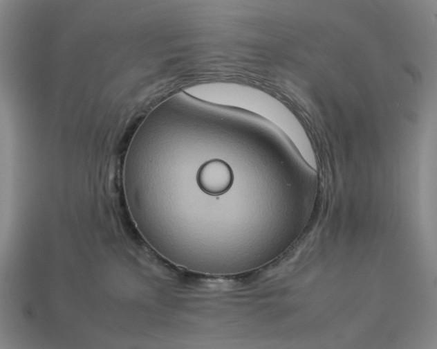 X0000112950233200909071122