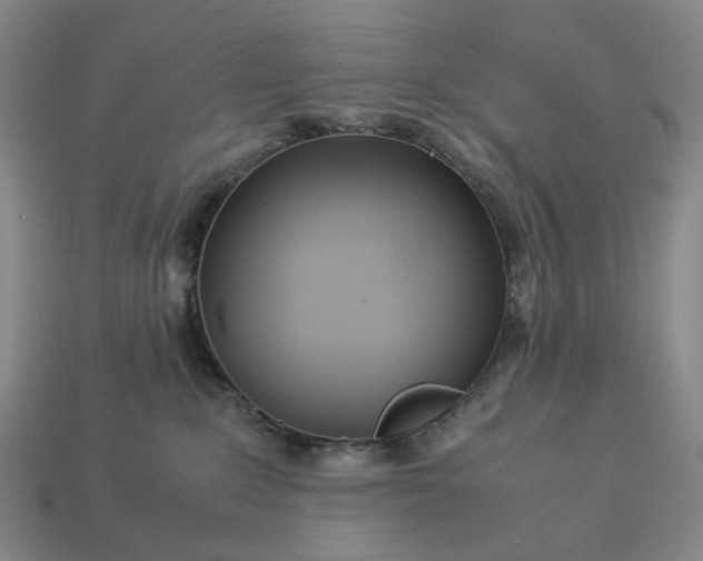 X0000112950235200909071122