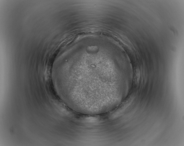 X0000112950236200909071122