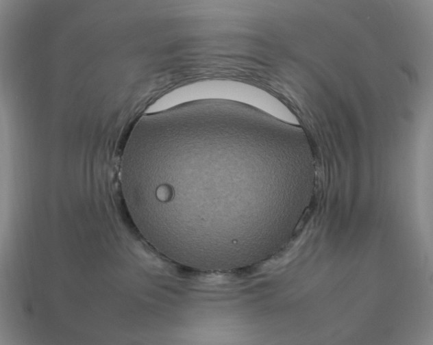 X0000112950237200909071122