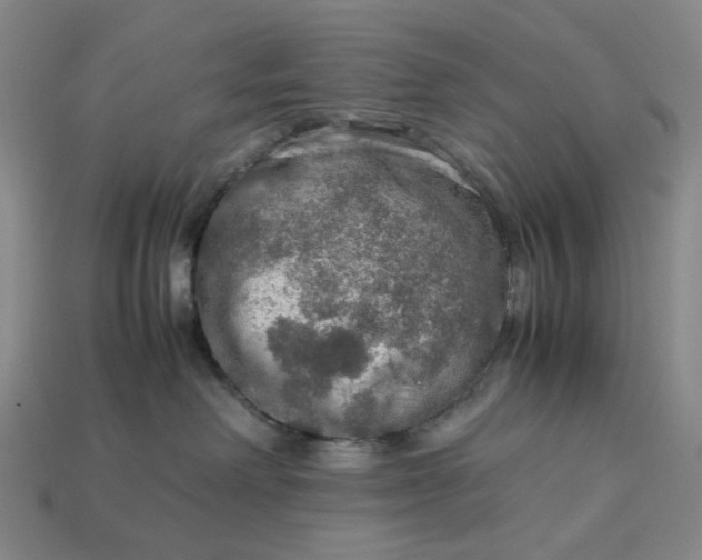 X0000112950238200909071122