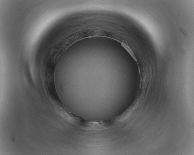 X0000112950239200909071122