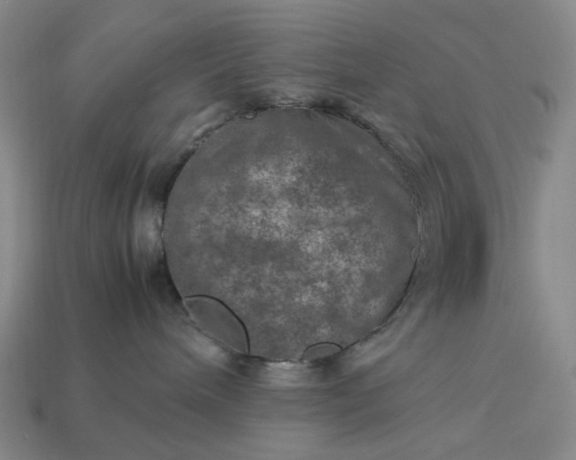 X0000112950240200909071122