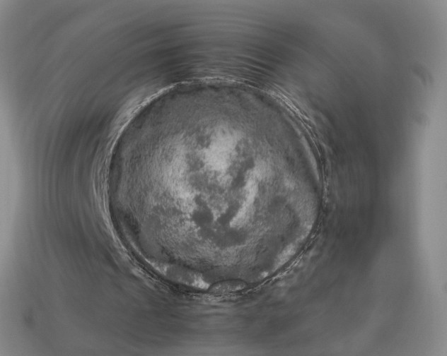 X0000112950241200909071121