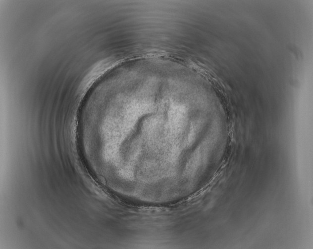 X0000112950242200909071121