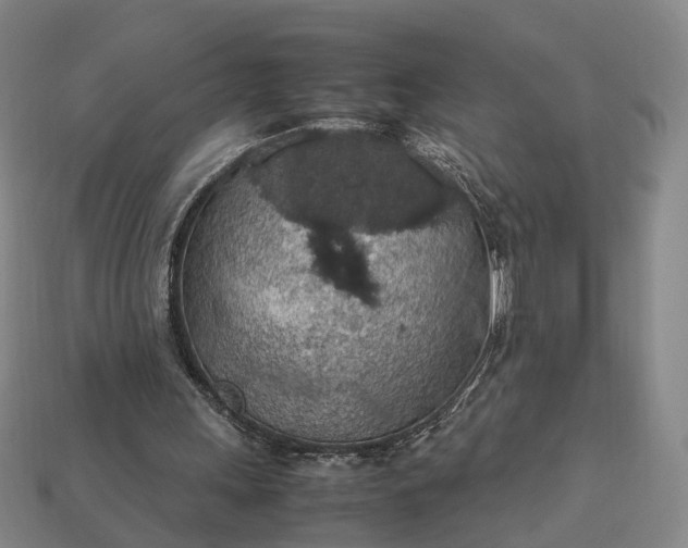 X0000112950243200909071121