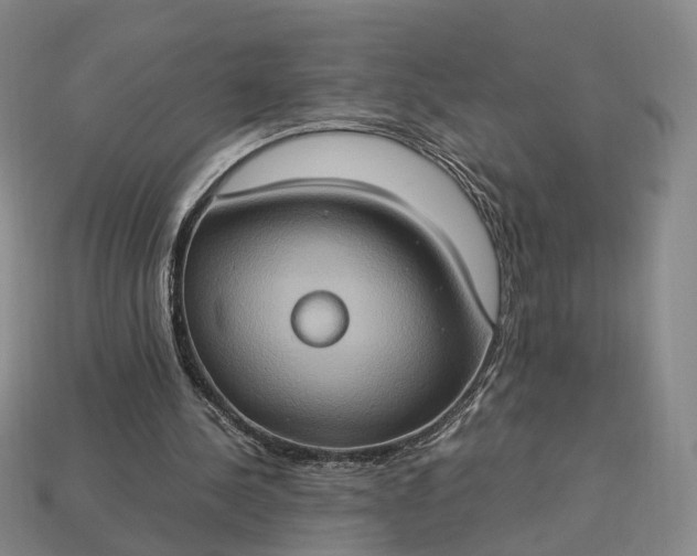 X0000112950244200909071121