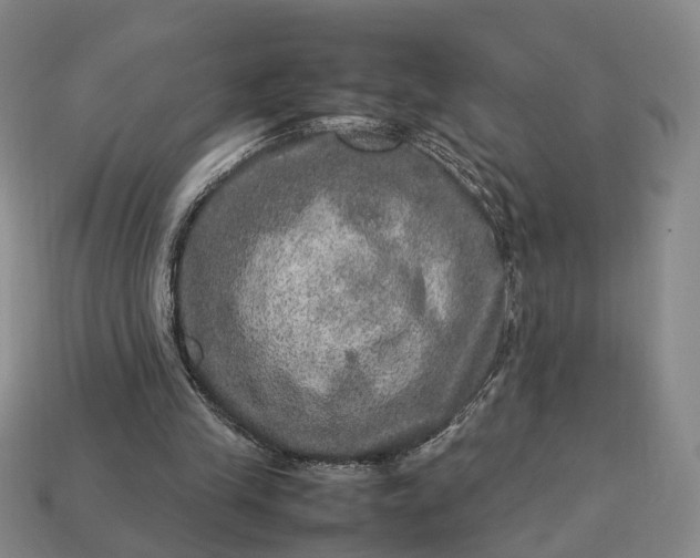 X0000112950245200909071121