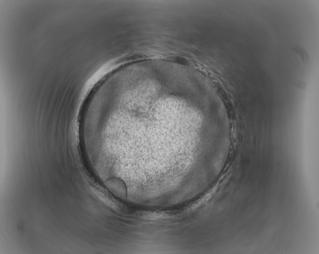 X0000112950246200909071121