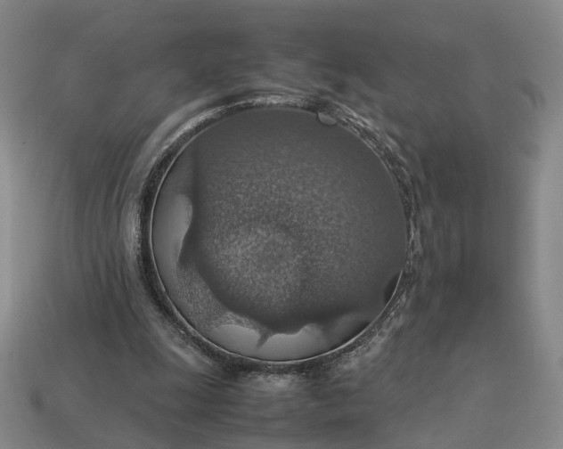 X0000112950247200909071121