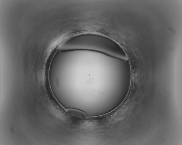 X0000112950248200909071121