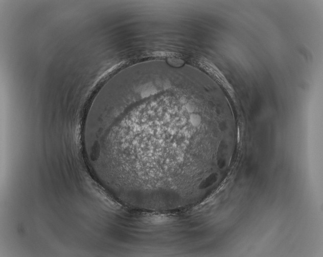 X0000112950249200909071121