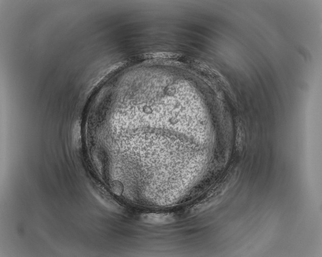 X0000112950251200909071121