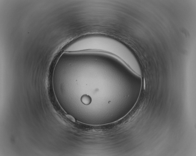 X0000112950252200909071121