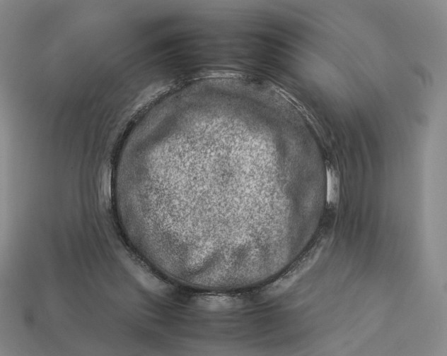 X0000112950253200909071121