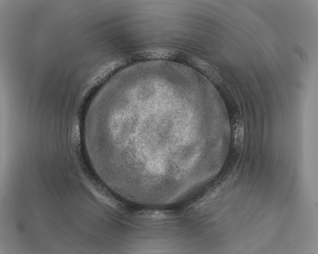 X0000112950254200909071121