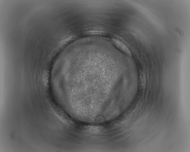 X0000112950255200909071121