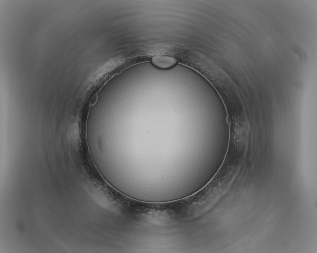 X0000112950256200909071121