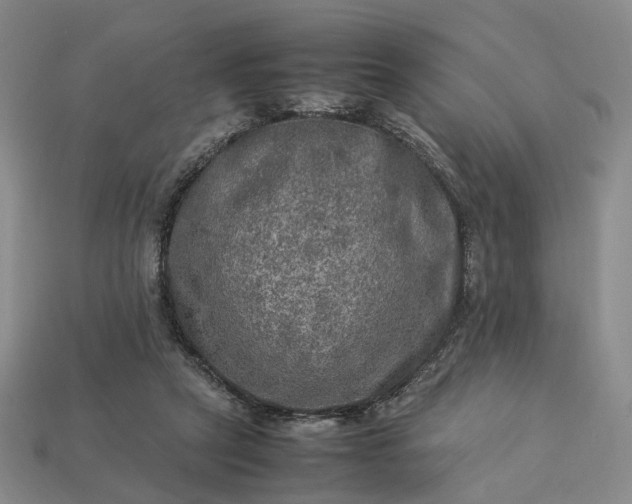 X0000112950257200909071121