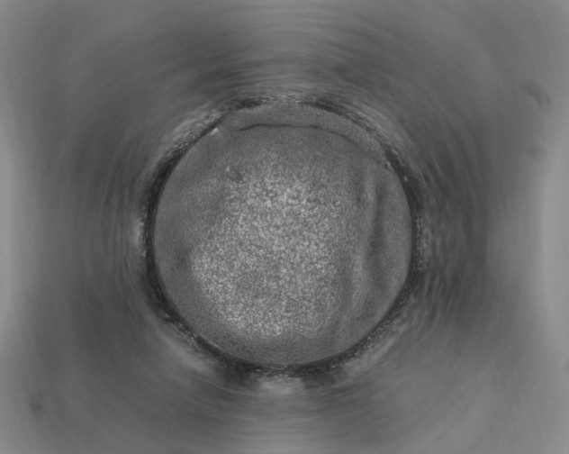 X0000112950258200909071121