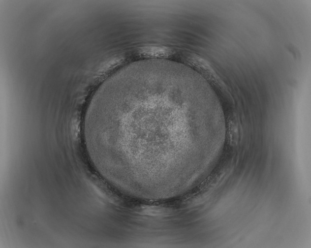 X0000112950259200909071121