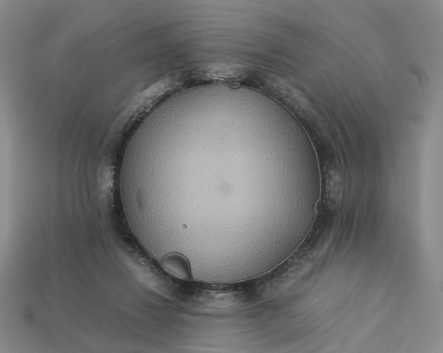 X0000112950260200909071121