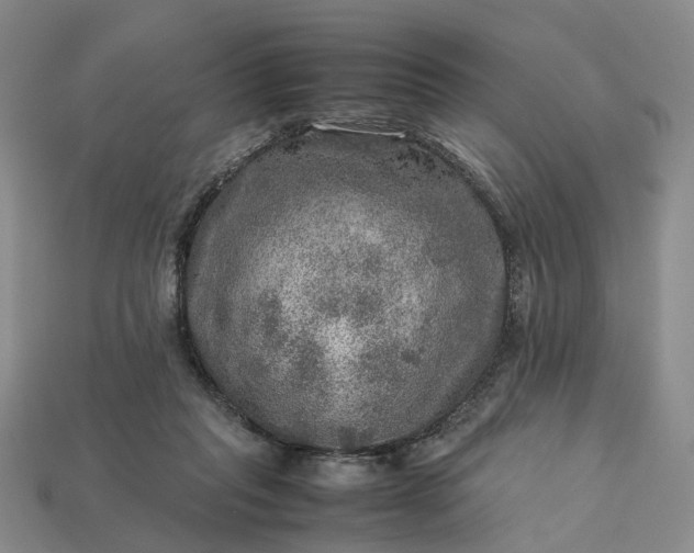 X0000112950261200909071121