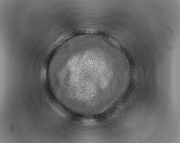 X0000112950262200909071121