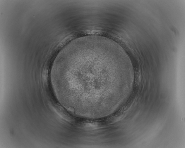 X0000112950263200909071121