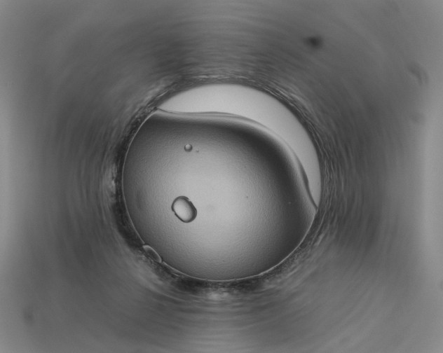 X0000112950264200909071121