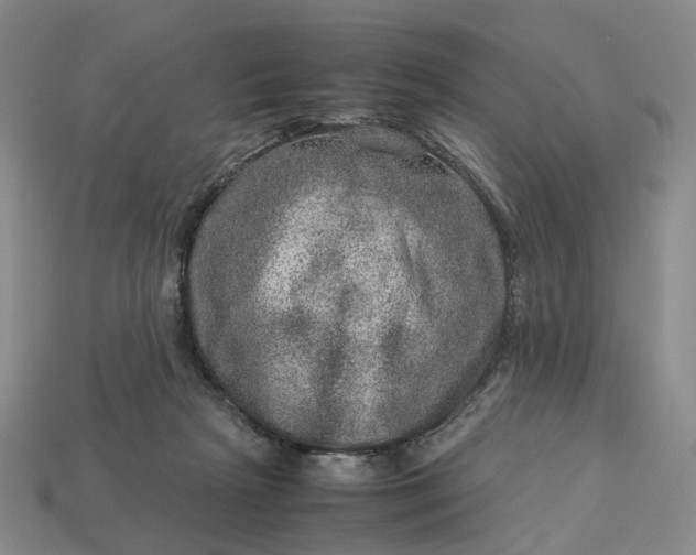 X0000112950265200909071121