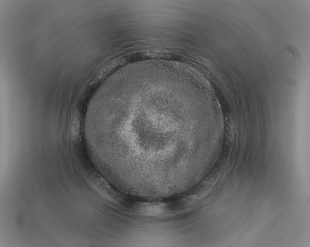 X0000112950266200909071121