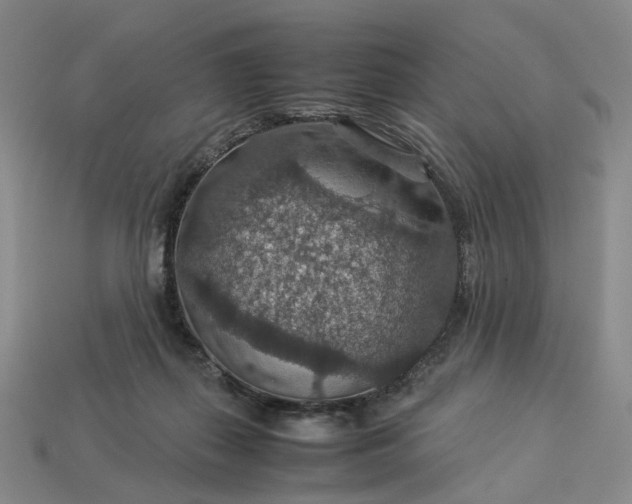 X0000112950267200909071121