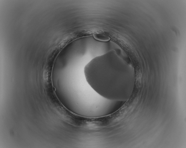 X0000112950268200909071121